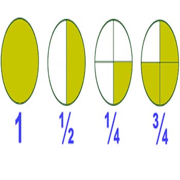 General knowledge about Fraction-exampoint.xyz