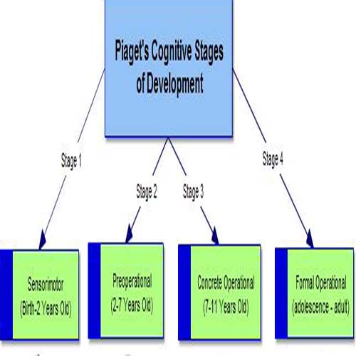 General knowledge about Stages Of Development-exampoint.xyz